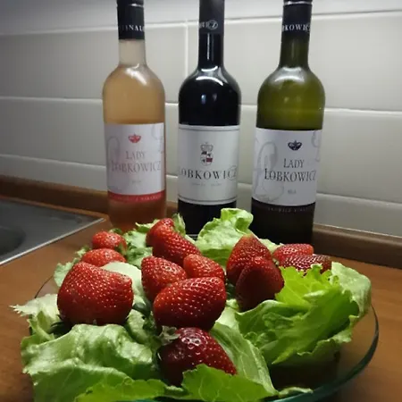 Apartment Dum V Podzamci